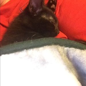 Meet your Posher, Becky